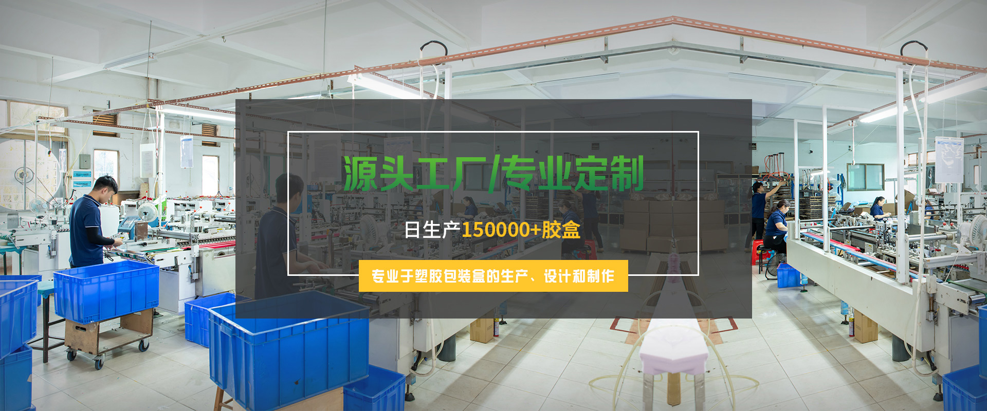 关于东升国际pg
