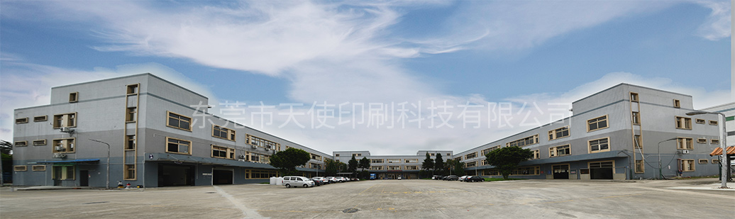 东莞市东升国际pg科技有限公司